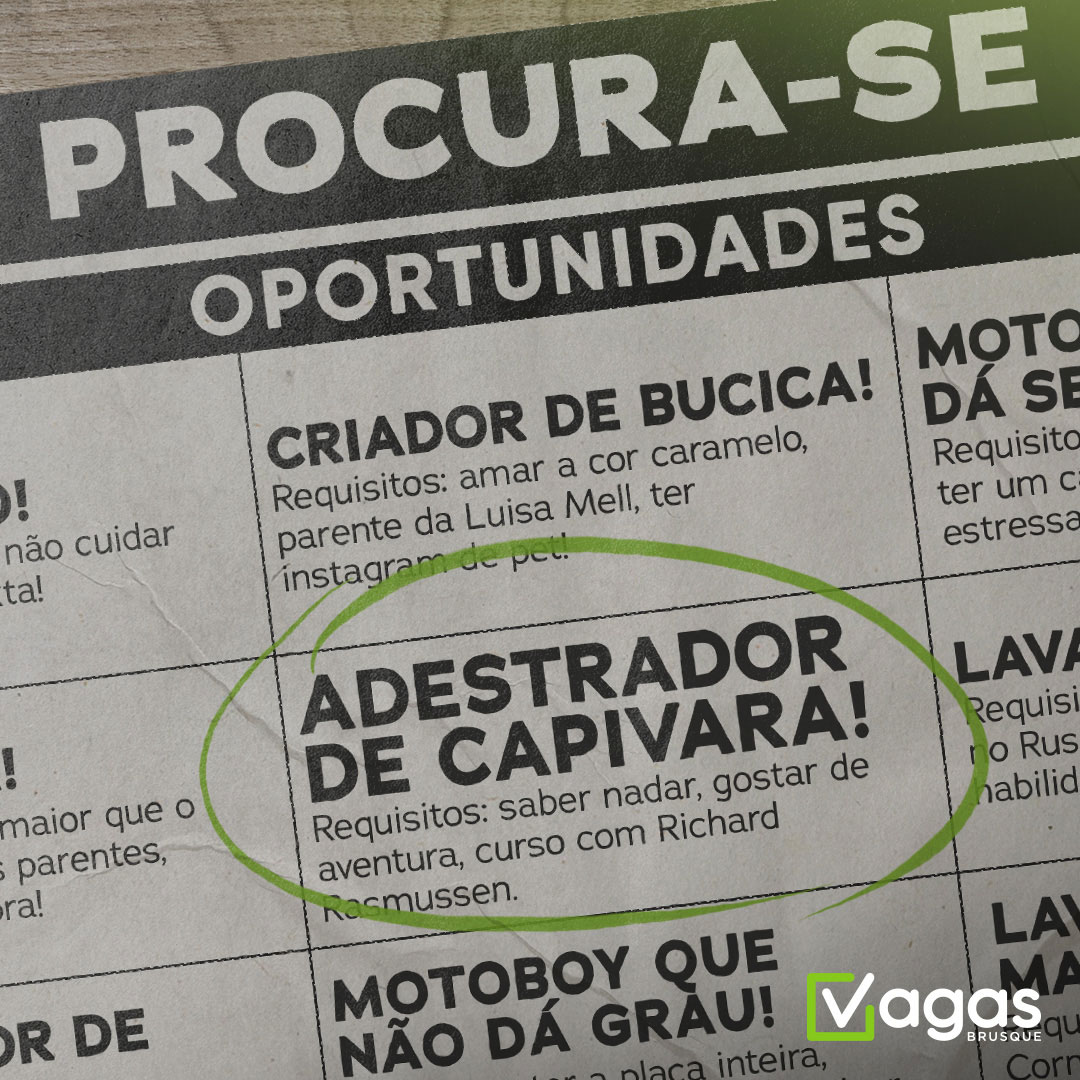 Campanha Publicitária para Vagas Brusque 10